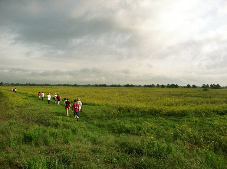 landscape3 Students explore the Katy Prairie Conservancy’s Indiangrass Preserve.